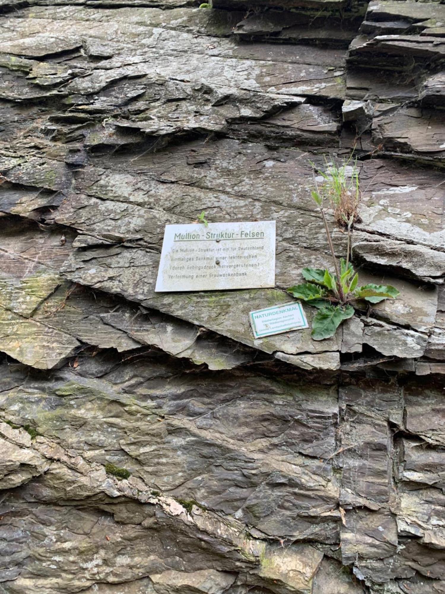 Berg Blick Eifler Bauernhaus Modern Restauriert Simmerath Exteriér fotografie